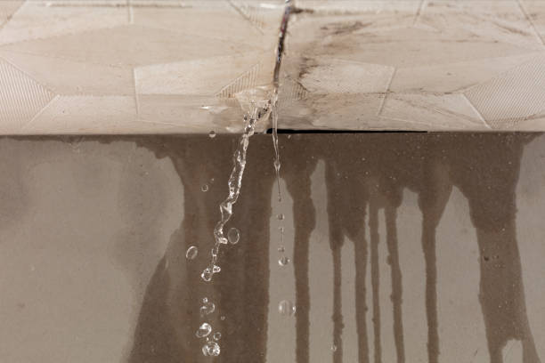 Professional Structural Drying technician working in Cove City, NC